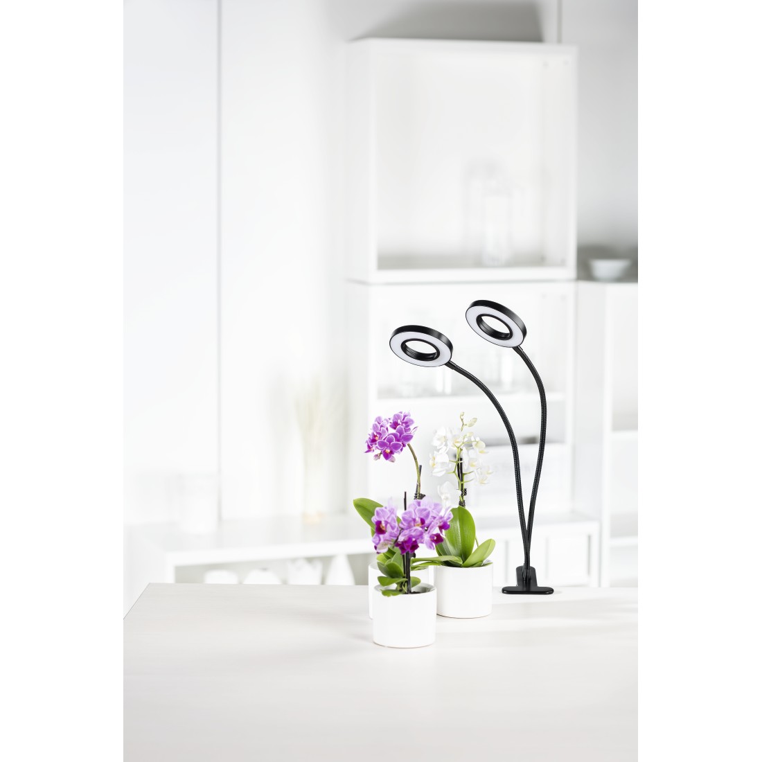 awx High-Res Appliance - Xavax, “Circle” LED Plant Lamp
