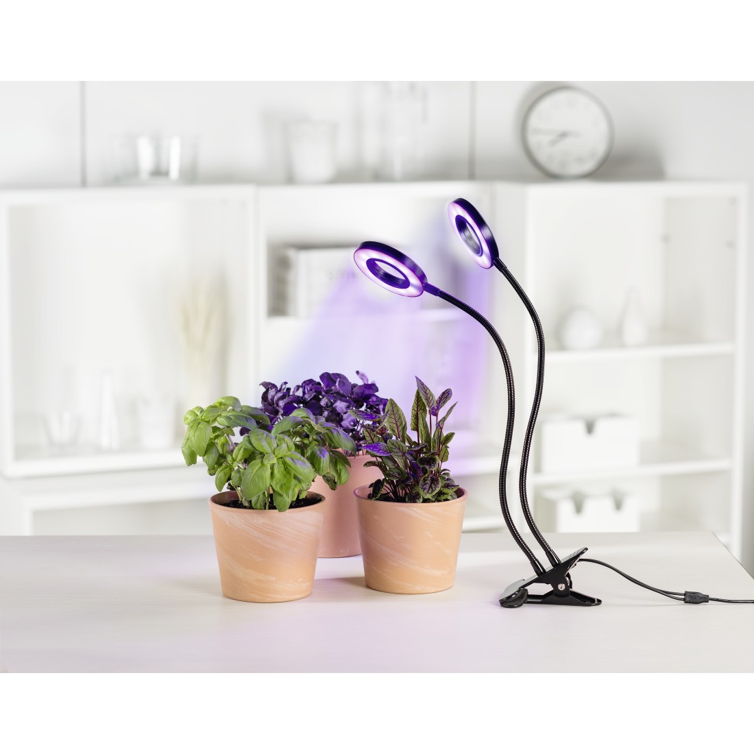 awx2 High-Res Appliance 2 - Xavax, “Circle” LED Plant Lamp