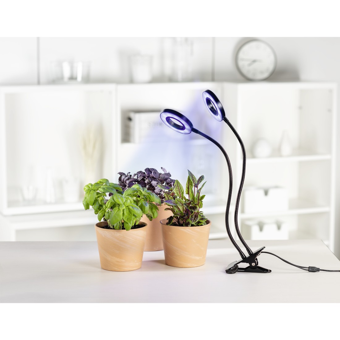 awx3 High-Res Appliance 3 - Xavax, “Circle” LED Plant Lamp