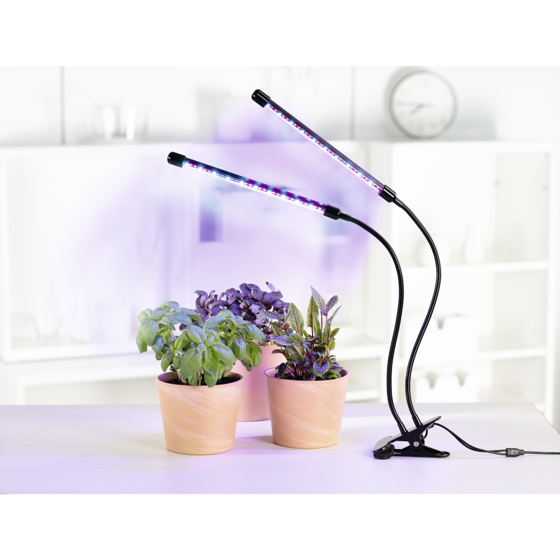 awx4 Druckfähige Anwendung 4 - Xavax, LED-Pflanzenleuchte Stick