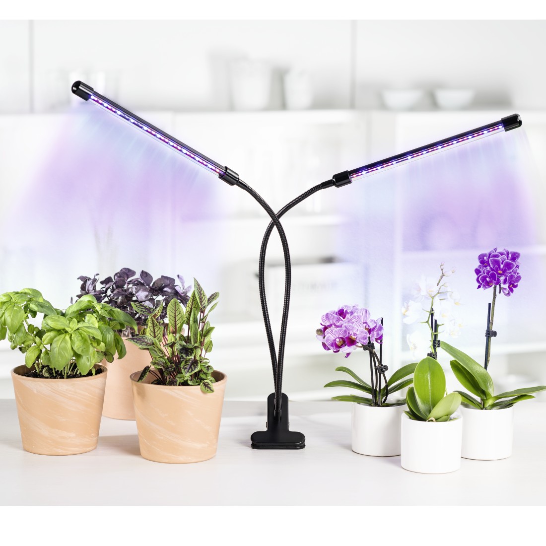 awx5 Druckfähige Anwendung 5 - Xavax, LED-Pflanzenleuchte Stick